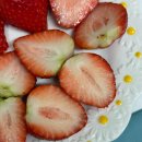 청솔청과 이미지