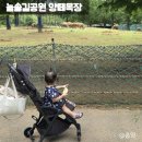 늘솔길근린공원 | 인천 무료 양떼목장 늘솔길공원 양떼목장