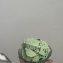 연세목장 이미지