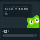 신나는 중국어 | 듀오링고 중국어 업데이트_SECTION 4 등장!