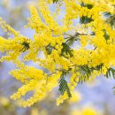 뉴캐슬골프존 이미지