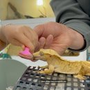 동성카프라자 | 중랑 이색카페 도마뱀과 카멜레온이 있는 카메리네 (주차, 예약, 도마뱀 핸들링 후기) 내돈내산