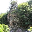 내설악 백담계곡 탐방로 걷기 이미지