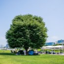 도농체육공원 이미지