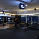 피트니스파이브 이미지