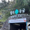 충주시 홀스팜 랜드 | 충주 당일치기 여행 2 | 활옥동굴 카약 이용 꿀팁 | 차이나 김쉐프 • 짬뽕