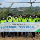 김창선농장 이미지