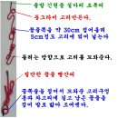 줄매는방법 이미지