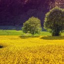 군자행정사사무소 이미지