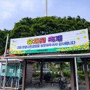 유채꽃 향기 | 2025년 구리 유채꽃축제 후기 및 한강시민공원 주차, 가수, 일정 정보