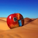 상념의 정원 이미지