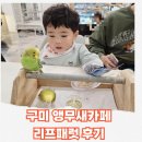 리프패럿구미점 | [구미 앵무새카페 리프패럿 ]5세·20개월 남매와 1시간 체험 후기
