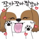 율하 위드동물병원 이미지