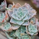 해리유통 이미지