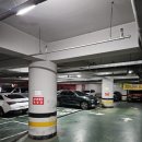 엑스포아구 이미지