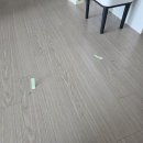 조금마루 | 이사 전 마루바닥찍힘, 교체 없이 복원한 리얼 후기