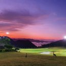 로얄종합카 이미지