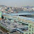 부산어시장