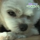 (주)세종통운 | 내티5bucks바지는만원