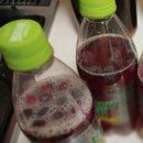 공생한의원 | 워터케피어 그레인 속 유산균과 효모에 대해