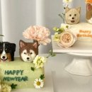 댕스투유 이미지