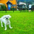 경주통나무 이미지