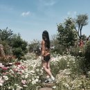 선흘하우스 이미지