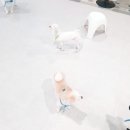 해운대유치원 이미지