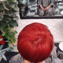 사이동 신우아파트 이미지