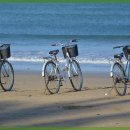 광주카써비스 이미지