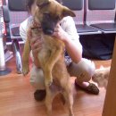 한얼동물병원 이미지