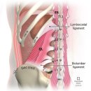 복현정형외과의원 이미지