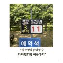 전북특별자치도 장수군 번암면 게시대 | 여름 숲속 페스티벌 감성 캠핑 장수 방화동 가족휴가촌 카라반 11번 사이트