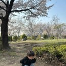 온가족 놀이터 | 부천 호수공원 아이랑 가기 좋은 곳 | 40개월 가정보육 동안 가장 많이 간 우리 가족 사계절 놀이터 후기