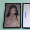위스토리플러스