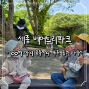 3살, 6살 아이와 함께한 3대의 세종 베어트리파크 가족 나들이 후기