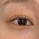 월드피아 | 눈매 분위기 미쳤다✨ 김해 장유 속눈썹펌 맛집 ‘제이뷰’ 리얼 후기