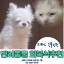 피카소동물병원 이미지