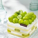 샤인광고 이미지