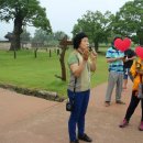 서산기쁨농장 | 서산여행 해미읍성 팔봉산 감자축제
