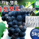 송산호농장 이미지