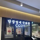 서울 강남 고속터미널 파미에스테이션 카페 담장옆에국화꽃 방문 후기