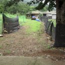 덕산면042 이미지