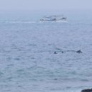 노을해안로 이미지