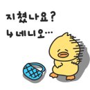 원주드림체육관 이미지