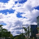 SY공인외국어번역행정사사무소 이미지