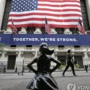 다우장식