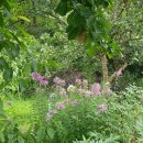 큰다나약국 이미지