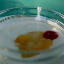 애플호텔 이미지