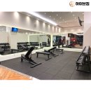 하이브짐(Hive Gym) 이미지